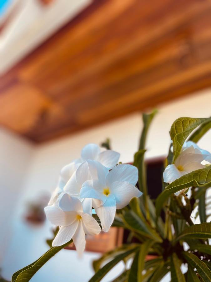 Beach Eco Stays Hotel Boutique Lagoinha Paraipaba Luaran gambar
